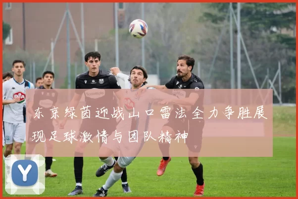 东京绿茵迎战山口雷法全力争胜展现足球激情与团队精神