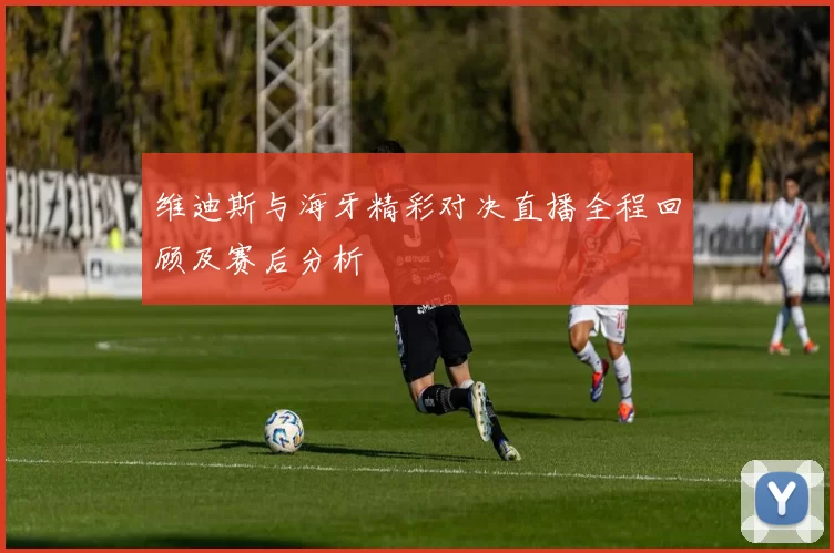 维迪斯与海牙精彩对决直播全程回顾及赛后分析